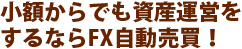 少額からでも資産運用をするならFX自動売買！初心者でも間違わないFX口座開設
